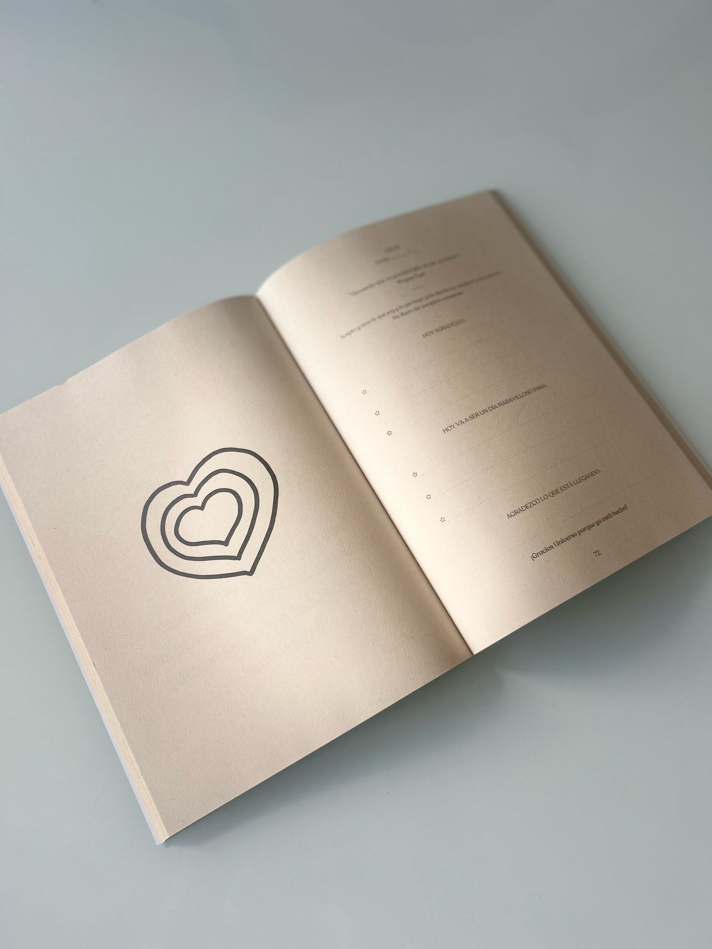 Cuaderno de Gratitud (Vai com Alma)