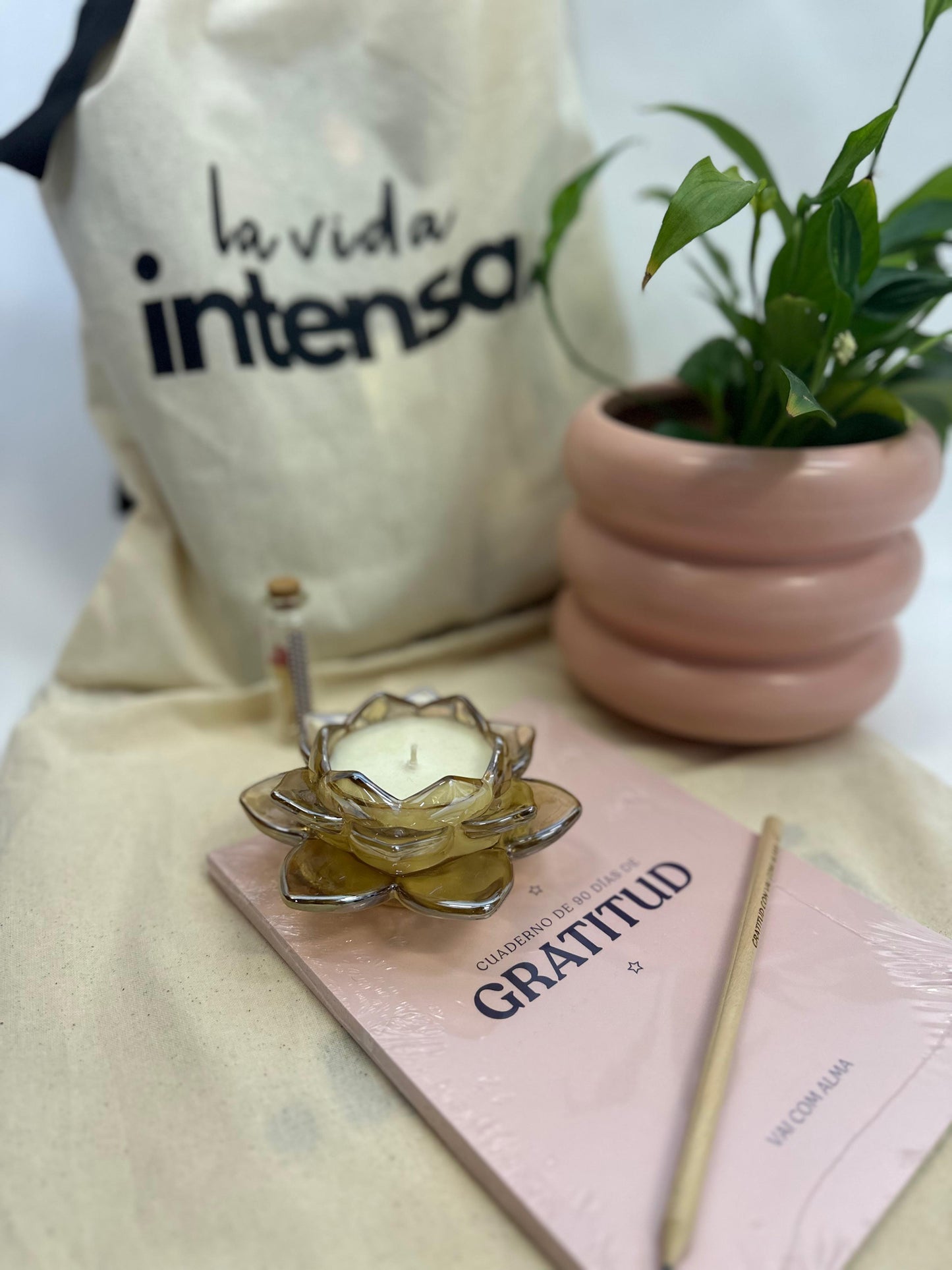 Cuaderno de Gratitud (Vai com Alma)